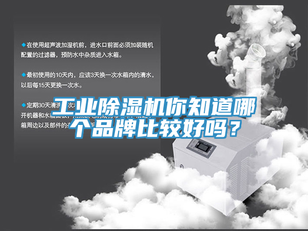 工業香蕉视频国产你知道哪個品牌比較好嗎？