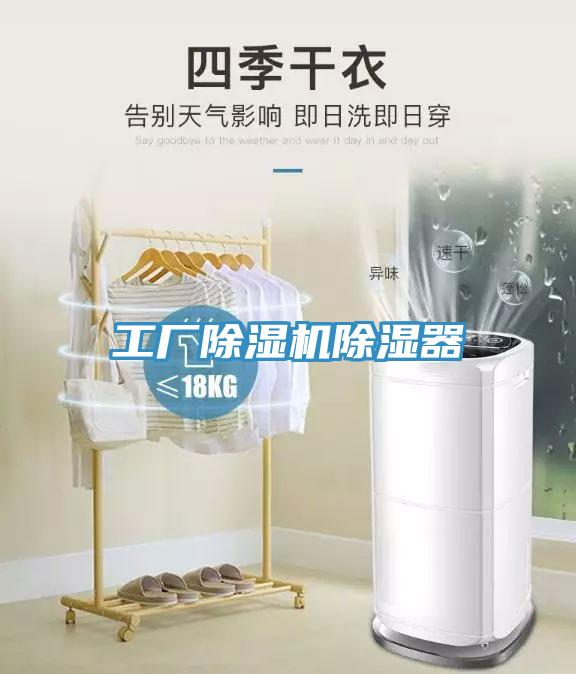 工廠香蕉视频国产除濕器