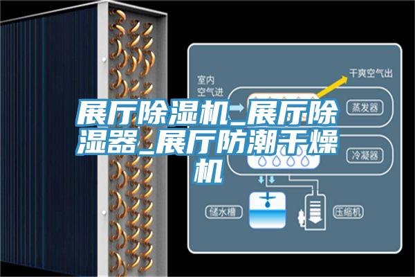 展廳香蕉视频国产_展廳除濕器_展廳防潮幹燥機