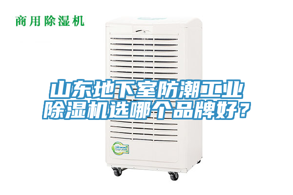 山東地下室防潮工業香蕉视频国产選哪個品牌好？