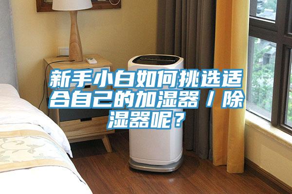 新手小白如何挑選適合自己的加濕器／除濕器呢？