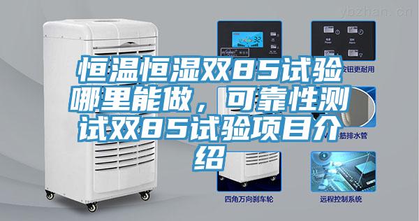 恒溫恒濕雙85試驗哪裏能做，可靠性測試雙85試驗項目介紹