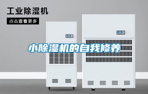 小香蕉视频国产的自我修養
