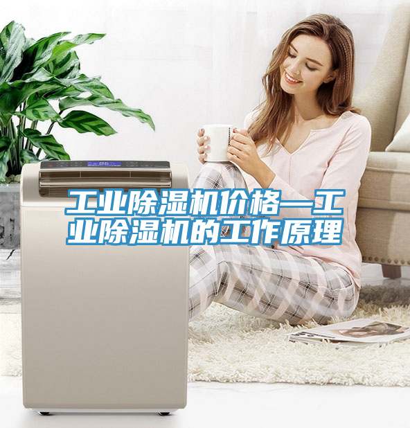 工業香蕉视频国产價格—工業香蕉视频国产的工作原理
