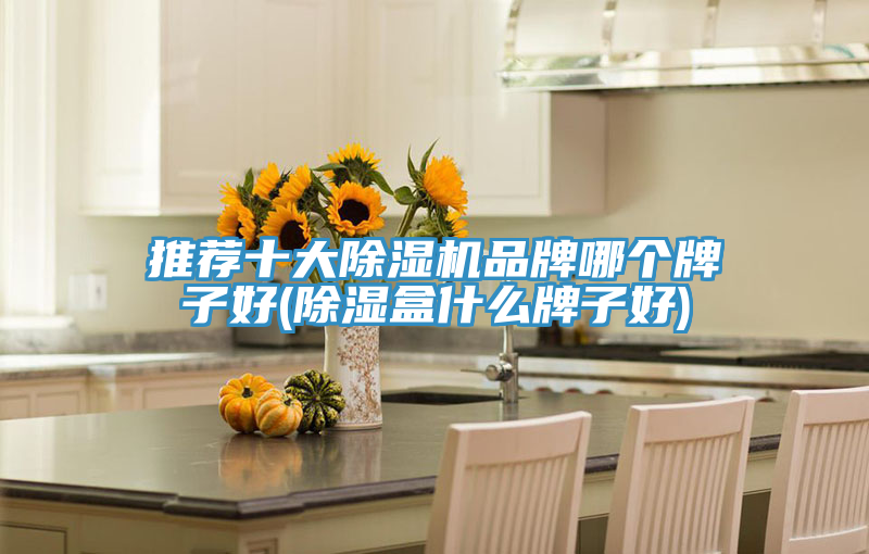 推薦十大香蕉视频国产品牌哪個牌子好(除濕盒什麽牌子好)