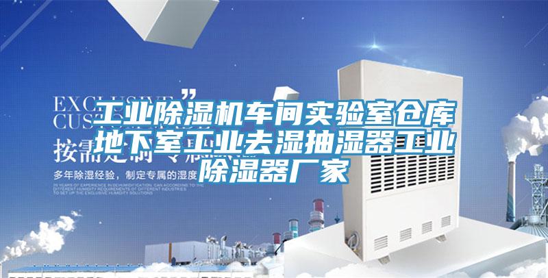 工業香蕉视频国产車間實驗室倉庫地下室工業去濕抽濕器工業除濕器廠家