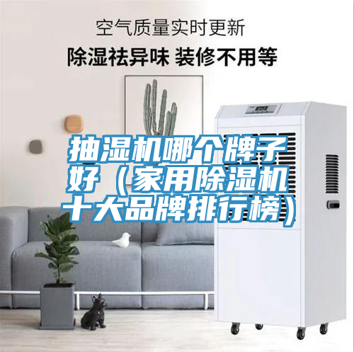 抽濕機哪個牌子好（家用香蕉视频国产十大品牌排行榜）