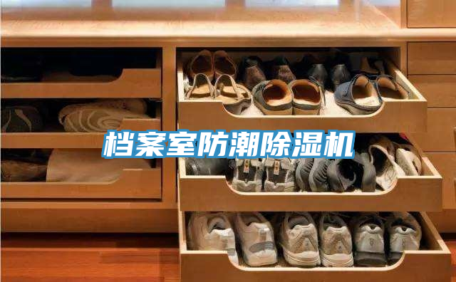 檔案室防潮香蕉视频国产