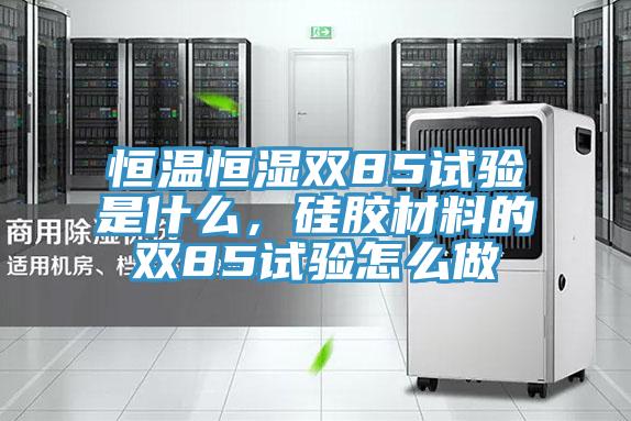恒溫恒濕雙85試驗是什麽，矽膠材料的雙85試驗怎麽做