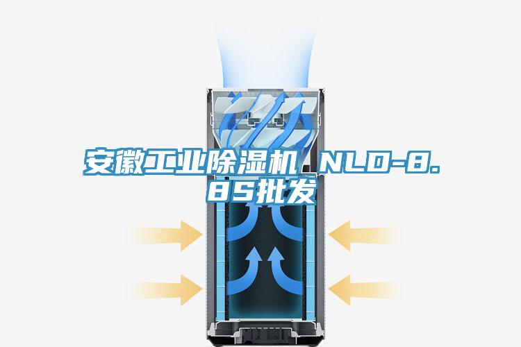 安徽工業香蕉视频国产 NLD-8.8S批發