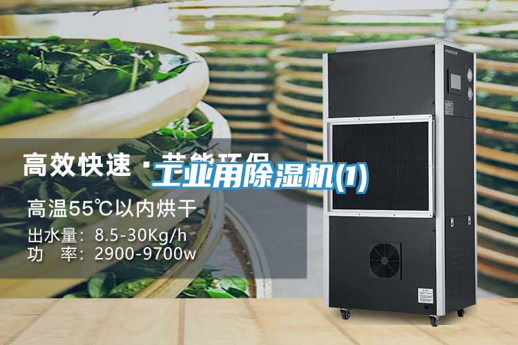 工業用香蕉视频国产(1)