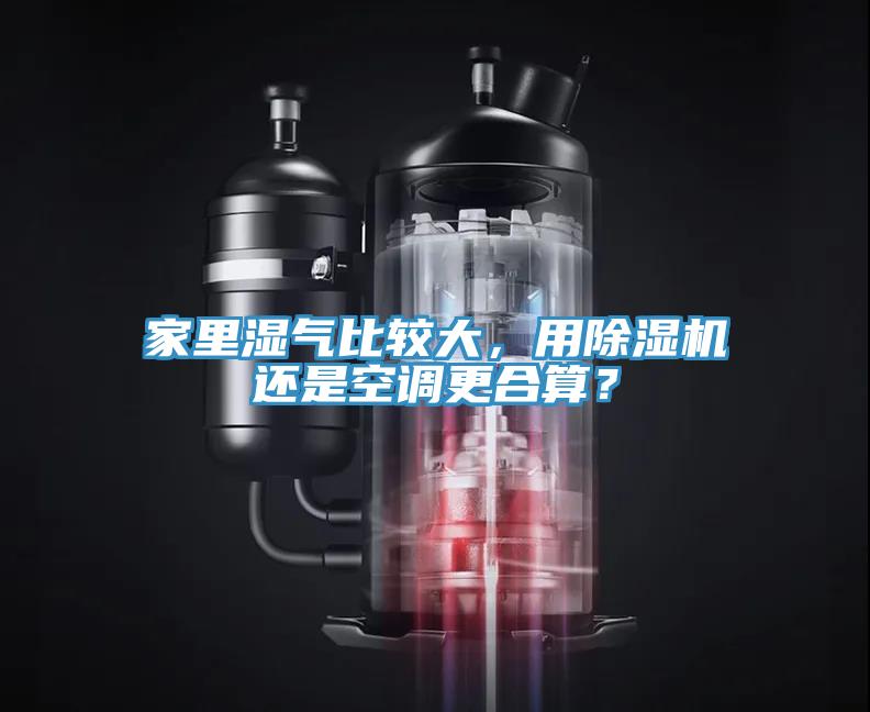 家裏濕氣比較大，用香蕉视频国产還是空調更合算？