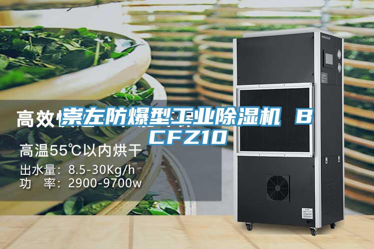 崇左防爆型工業香蕉视频国产 BCFZ10