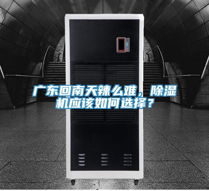 廣東回南天辣麽難，香蕉视频国产應該如何選擇？