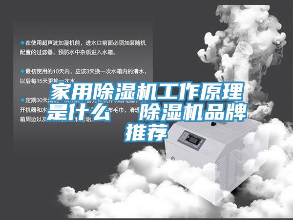 家用香蕉视频国产工作原理是什麽  香蕉视频国产品牌推薦