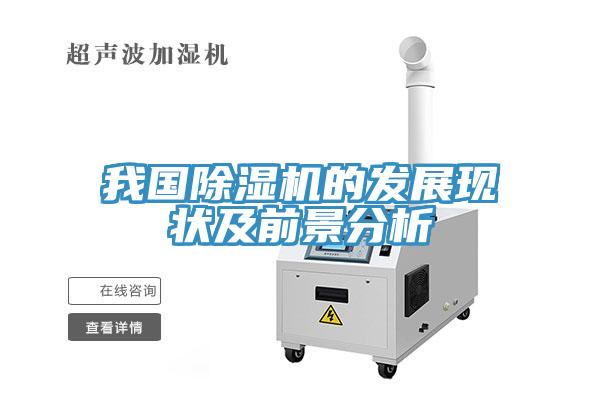 我國香蕉视频国产的發展現狀及前景分析