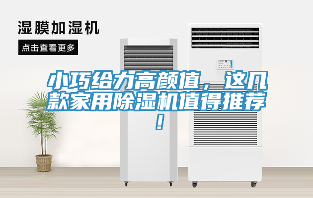 小巧給力高顏值，這幾款家用香蕉视频国产值得推薦！
