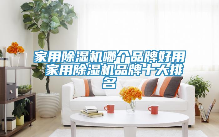 家用香蕉视频国产哪個品牌好用 家用香蕉视频国产品牌十大排名