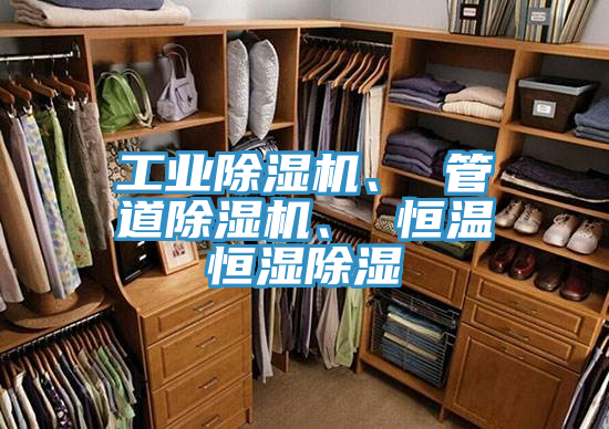 工業香蕉视频国产、 管道香蕉视频国产、 恒溫恒濕除濕