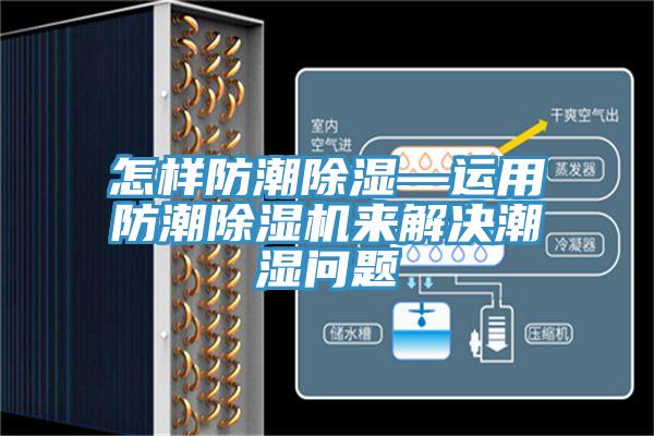 怎樣防潮除濕—運用防潮香蕉视频国产來解決潮濕問題