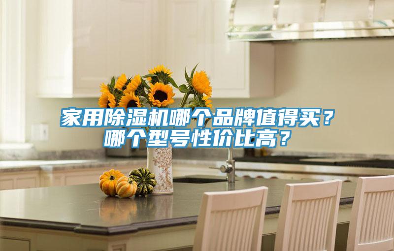 家用香蕉视频国产哪個品牌值得買？哪個型號性價比高？