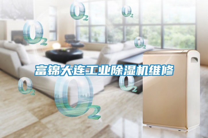 富錦大連工業香蕉视频国产維修