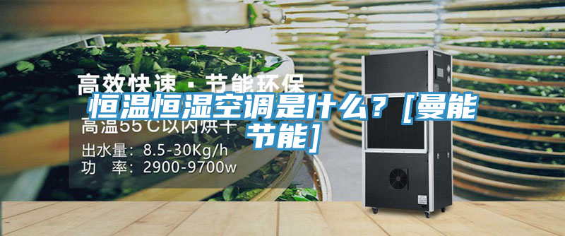 恒溫恒濕空調是什麽？[曼能節能]