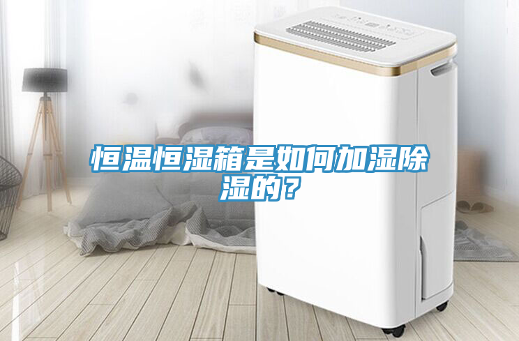 恒溫恒濕箱是如何加濕除濕的？