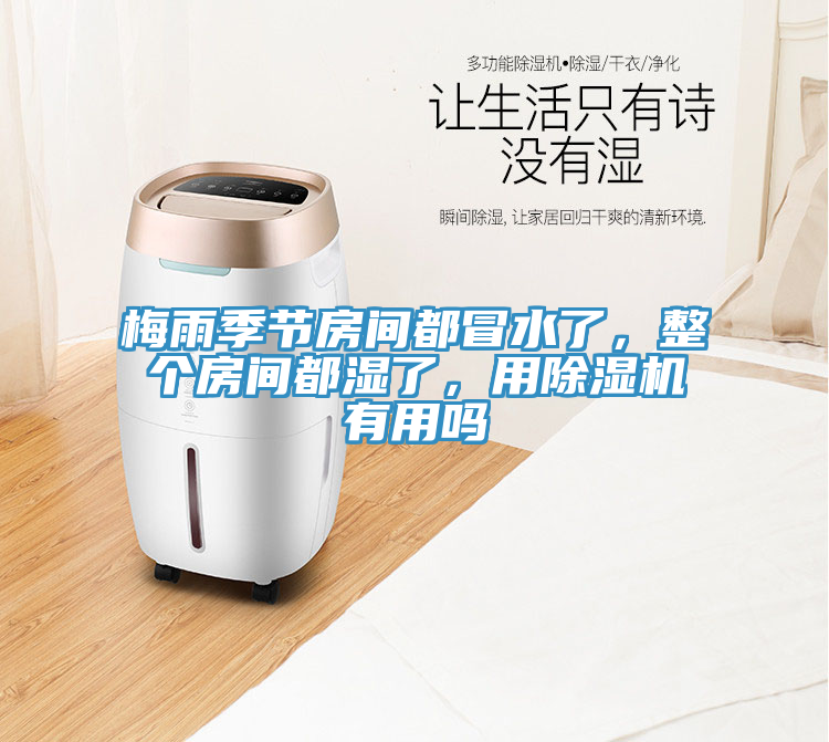 梅雨季節房間都冒水了，整個房間都濕了，用香蕉视频国产有用嗎