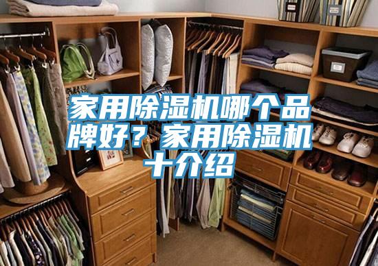 家用香蕉视频国产哪個品牌好？家用香蕉视频国产十介紹