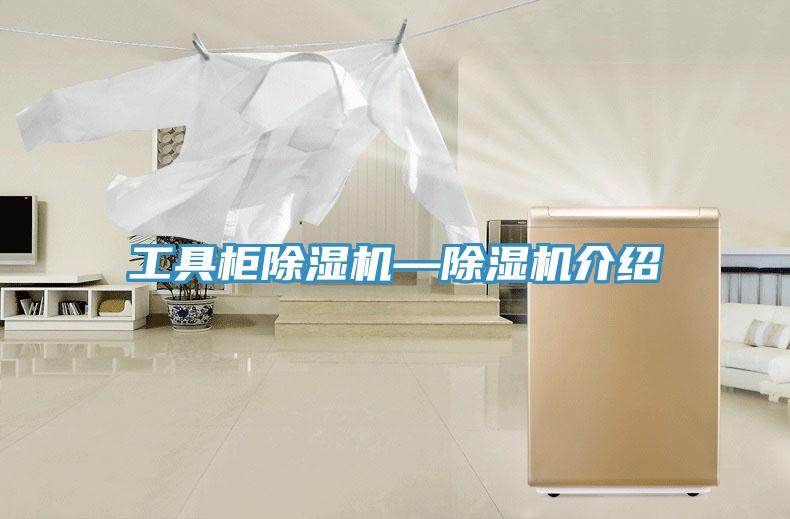 工具櫃香蕉视频国产—香蕉视频国产介紹