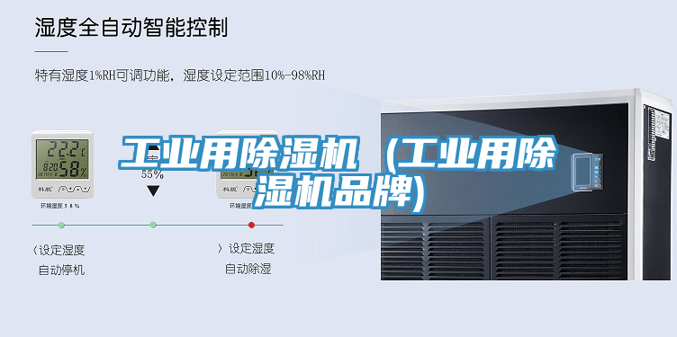 工業用香蕉视频国产 (工業用香蕉视频国产品牌)