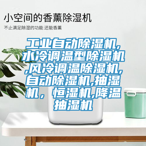 工業自動香蕉视频国产,水冷調溫型香蕉视频国产,風冷調溫香蕉视频国产,自動香蕉视频国产,抽濕機，恒濕機,降溫抽濕機