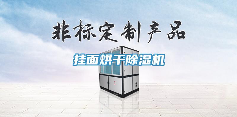 掛麵烘幹香蕉视频国产