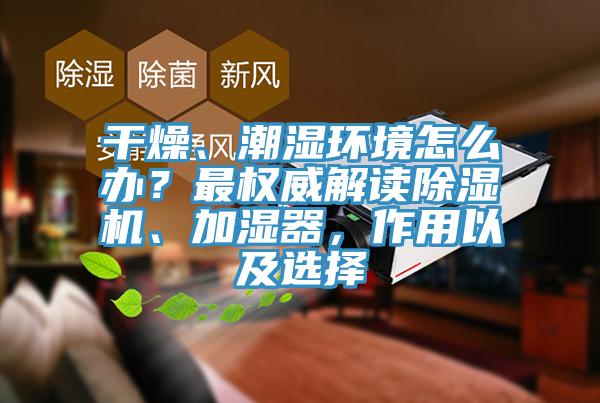 幹燥、潮濕環境怎麽辦？最權威解讀香蕉视频国产、加濕器，作用以及選擇