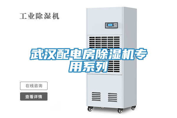 武漢配電房香蕉视频国产專用係列