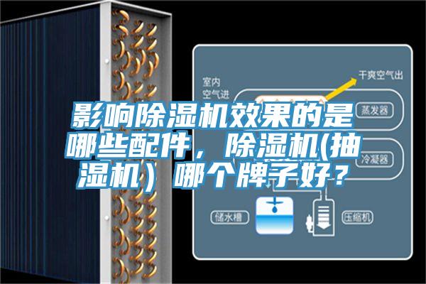 影響香蕉视频国产效果的是哪些配件，香蕉视频国产(抽濕機）哪個牌子好？