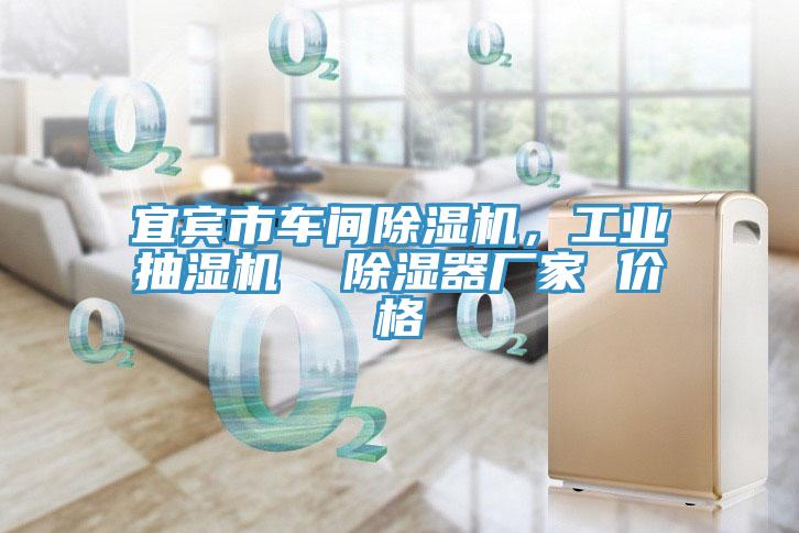 宜賓市車間香蕉视频国产，工業抽濕機  除濕器廠家 價格