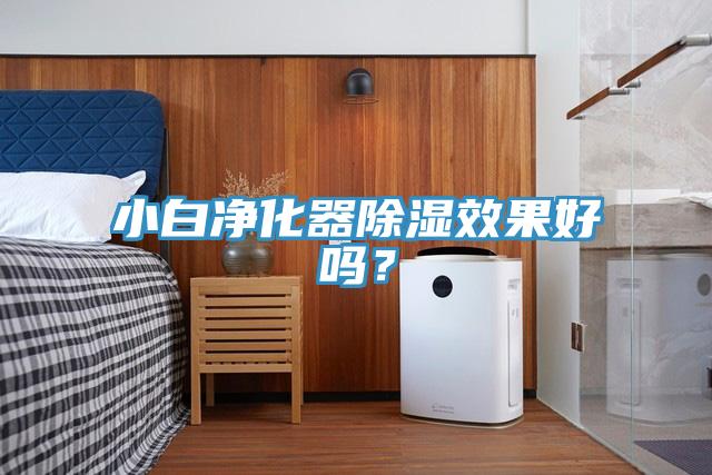 小白淨化器除濕效果好嗎？