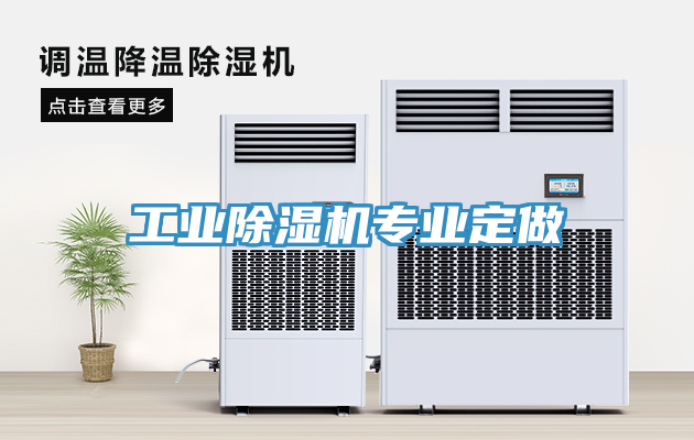 工業香蕉视频国产專業定做