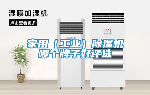 家用（工業）香蕉视频国产哪個牌子好評選