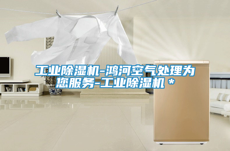 工業香蕉视频国产-鴻河空氣處理為您服務-工業香蕉视频国产＊