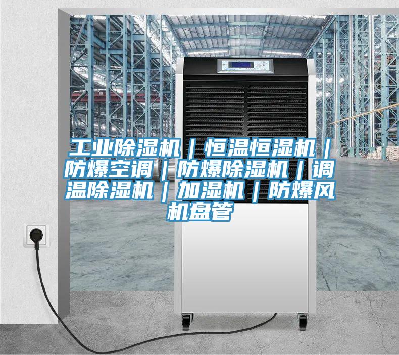 工業香蕉视频国产｜恒溫恒濕機｜防爆空調｜防爆香蕉视频国产｜調溫香蕉视频国产｜加濕機｜防爆風機盤管