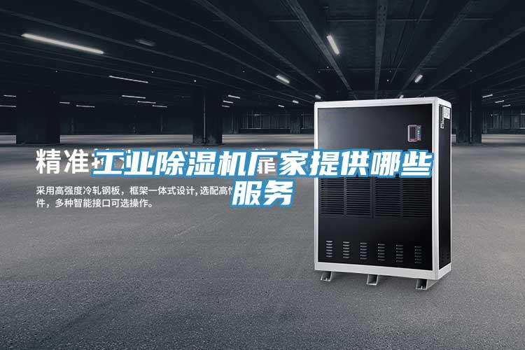 工業香蕉视频国产廠家提供哪些服務