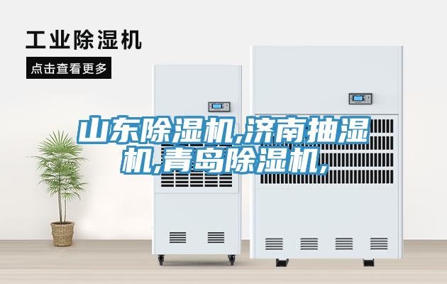 山東香蕉视频国产,濟南抽濕機,青島香蕉视频国产,