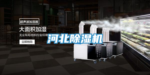 河北香蕉视频国产