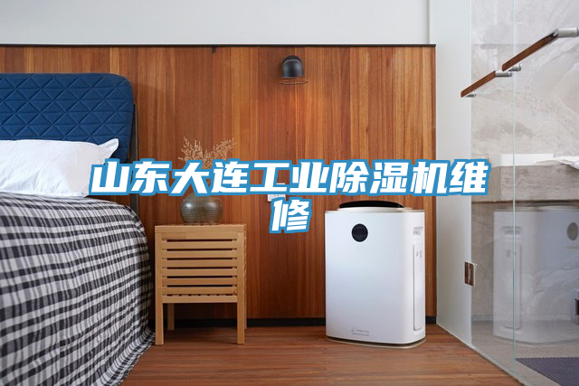 山東大連工業香蕉视频国产維修