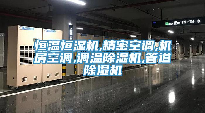 恒溫恒濕機,精密空調,機房空調,調溫香蕉视频国产,管道香蕉视频国产