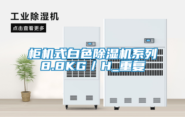 櫃機式白色香蕉视频国产係列8.8KG／H_重複