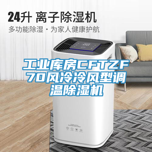 工業庫房CFTZF70風冷冷風型調溫香蕉视频国产